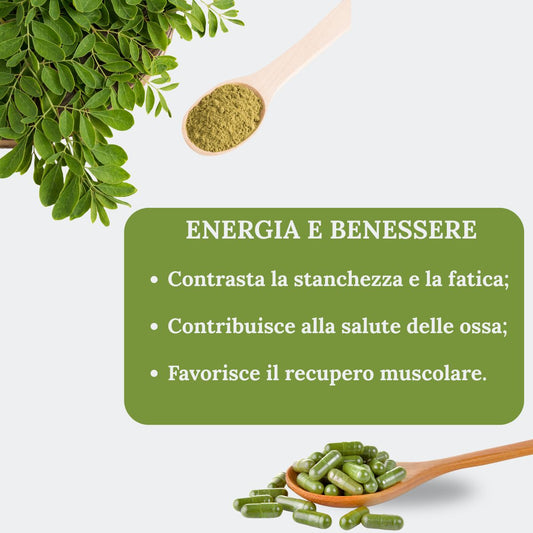 Moringa Oleifera Bio in Capsule | 50 Capsule