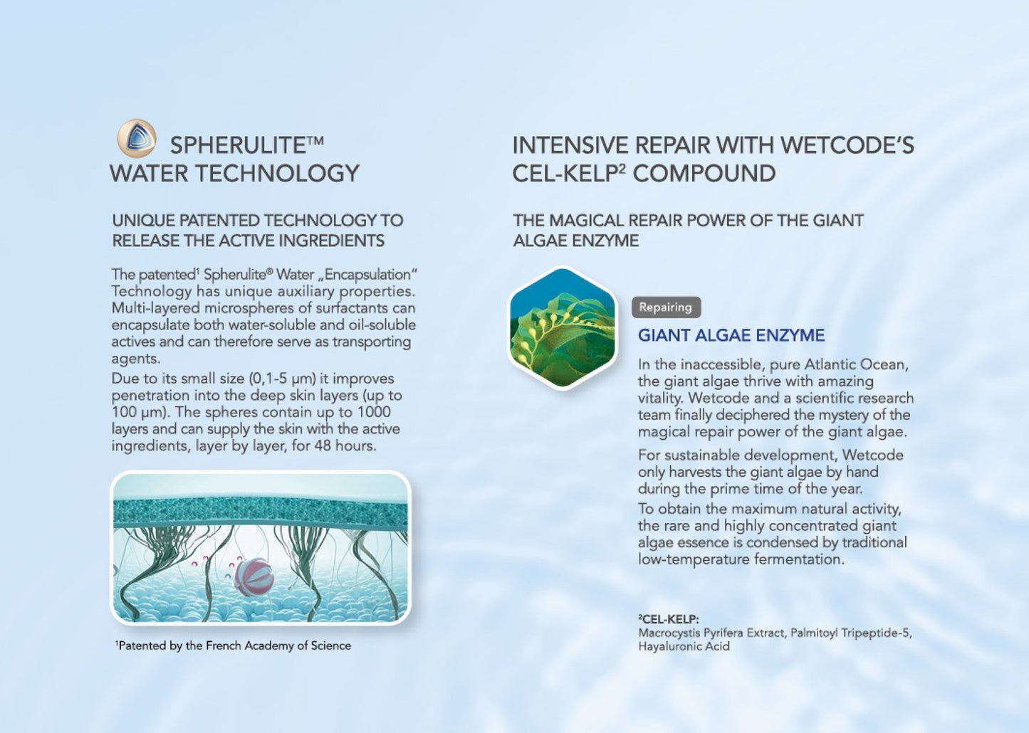 WETCODE - Aqua Repair Emulsion 120ml - Barrile donna