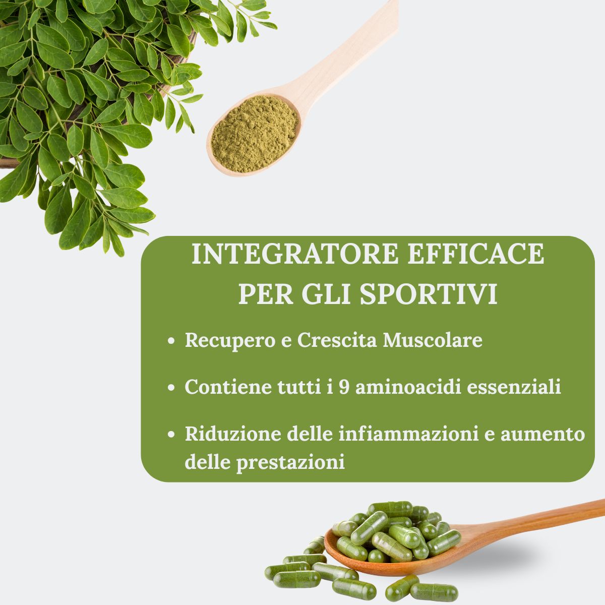 Moringa Oleifera Bio in Capsule | 50 Capsule - Barrile donna