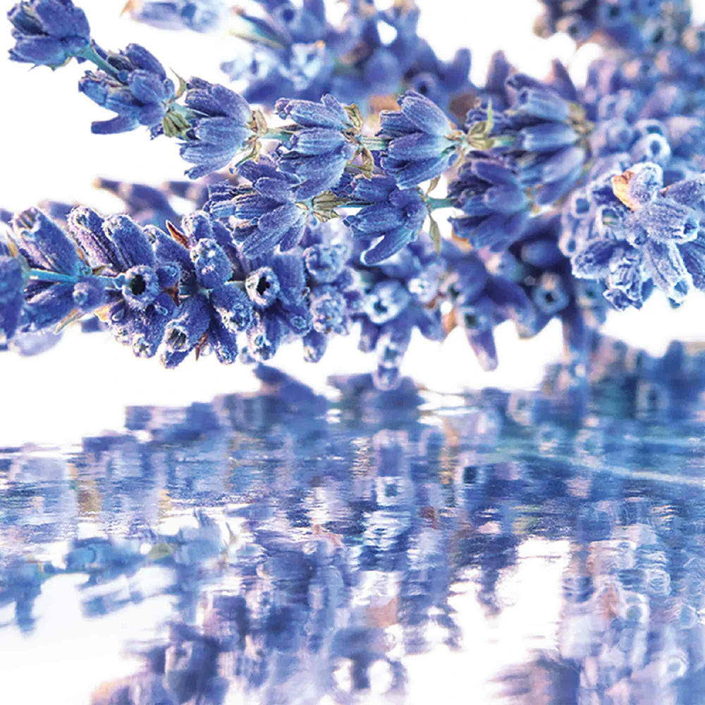 Guerlain Mon Guerlain eau de parfum (woman)