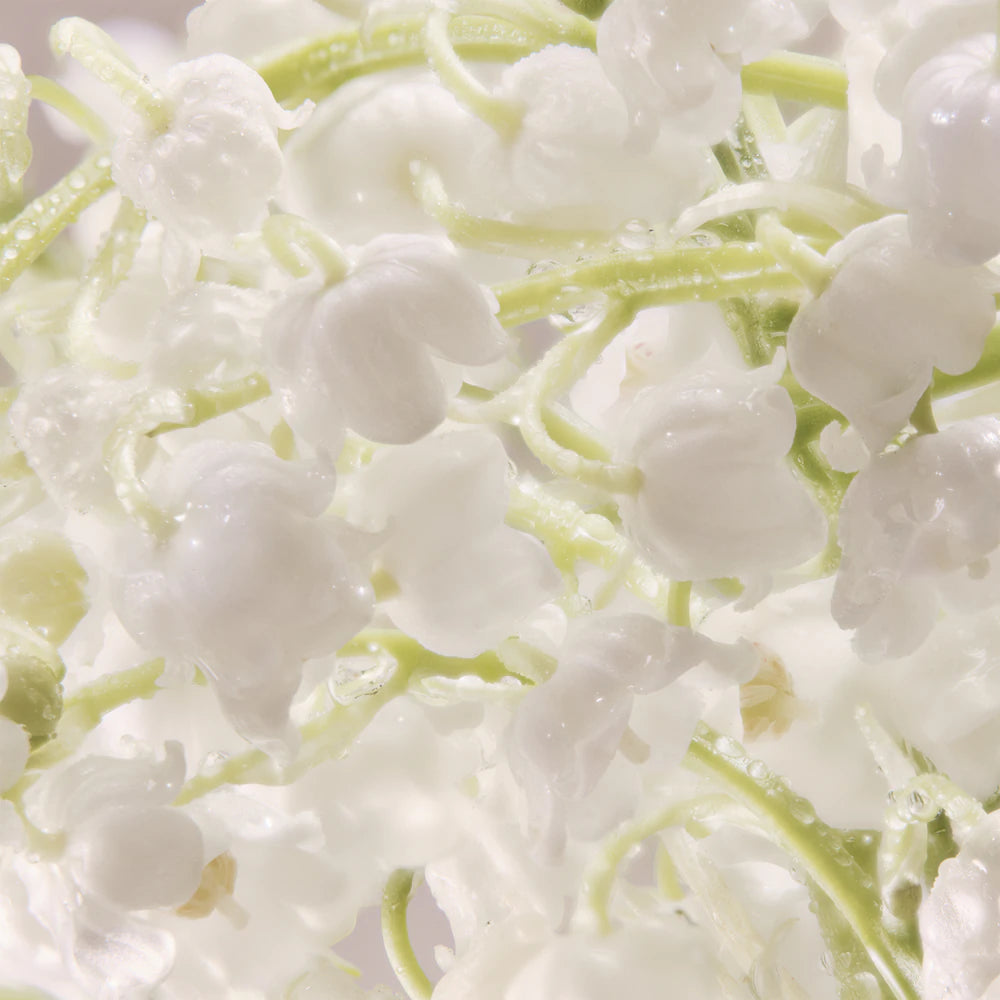 Davidoff Cool Water Woman Eau De Toilette - Davidoff