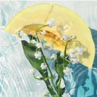 Davidoff Cool Water Woman Eau De Toilette - Davidoff