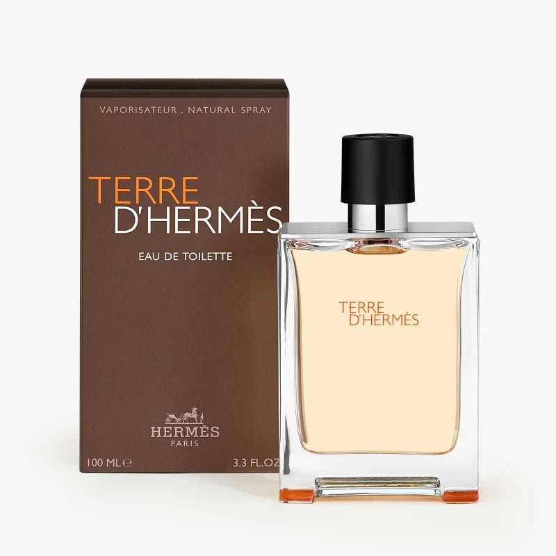 Terre D'Hermes by Hermes Eau de toilette for Men - Hermes - 100ml