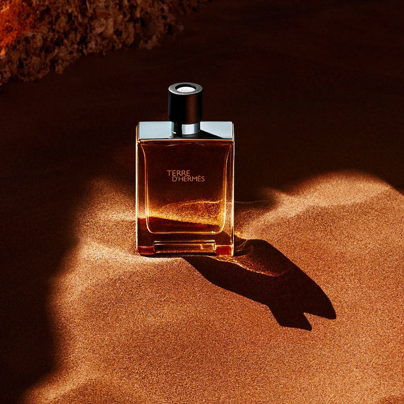 Terre D'Hermes by Hermes Eau de toilette for Men - Hermes - 100ml